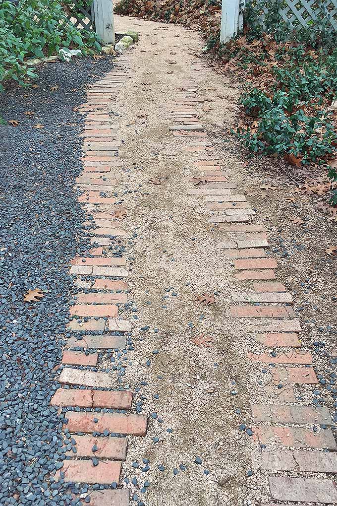A vertical picture of a garden path edged with bricks leading towards a small opening in a white fence in a suburban backyard.