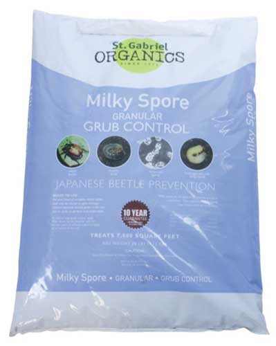 A plastic bag containing granular milky spore.