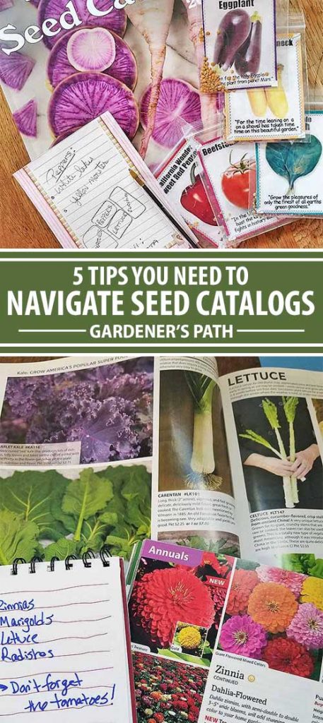 A collage of images showing different seed catalogs opened with notes being taken on pads of paper.
