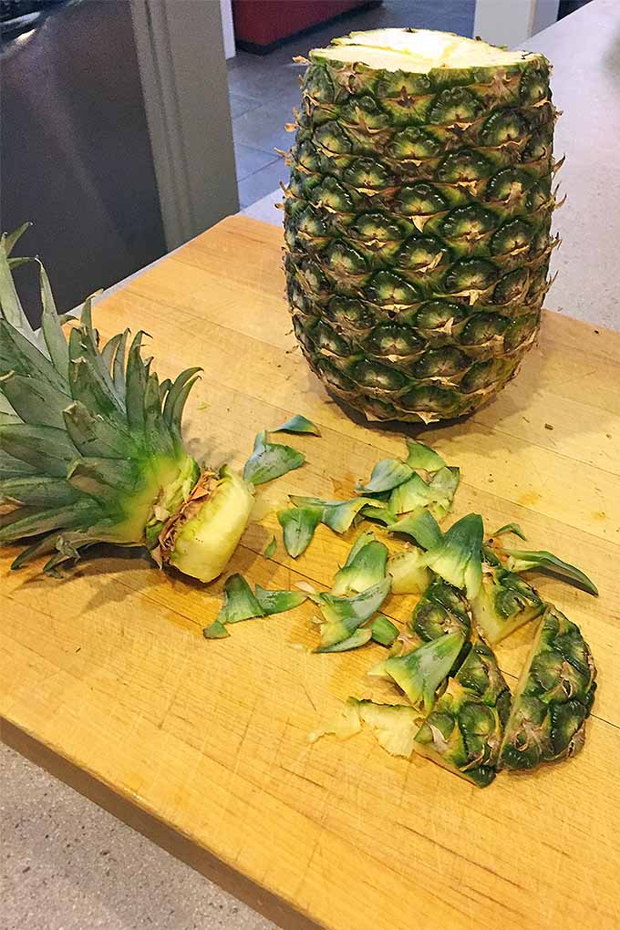 A large pineapple with the top chopped off is in two pieces on a cutting board. The crown of the fruit has been cleaved and trimmed in preparation for growing. The bottom portion is left standing, ready to be cleaned and eaten.