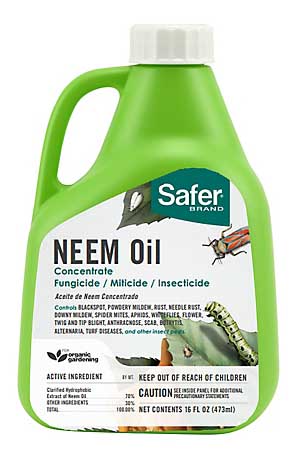 Green bottle of Safer Brand Neem Oil Concentrate Insecticide.