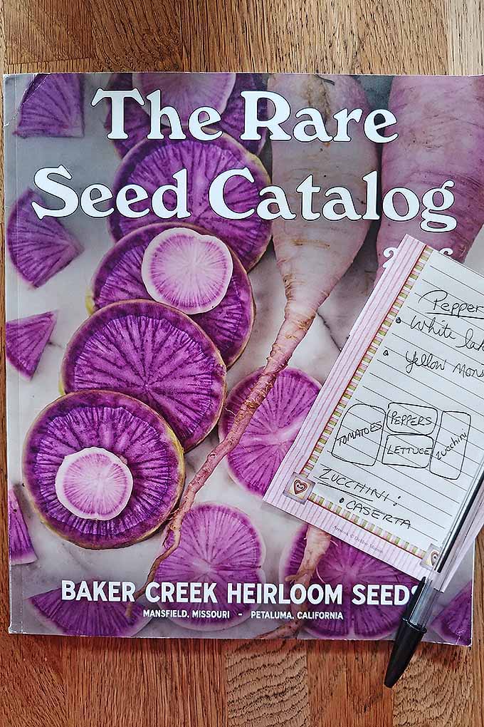 The Rare Seed Catalog lays flat on a smooth, wooden table. On the cover of the catalog is the name as well as some large, purple, rooted vegetables. The roots are cut into cross-sections that are bright purple and contain within them patterns like that of an orange or lemon. On top of the magazine is a small notepad and a pen. The notepad contains some notes about which seeds to look for in this year's catalog.
