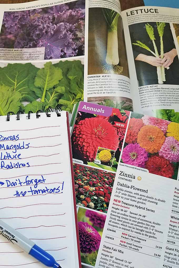 Two seed catalogs rest with one on top of the other. On both of them is a small notepad with crooked red lines and a few notes written in a blue marker that can also be seen. The magazine on top is opened to a page of very bright annual flowers with several written descriptions and prices. On the catalog underneath, the page is opened to the leafy greens such as lettuce, kale and leaks. Also written below every picture is a short description of how to grow and what to expect as well as a price for the seeds.
