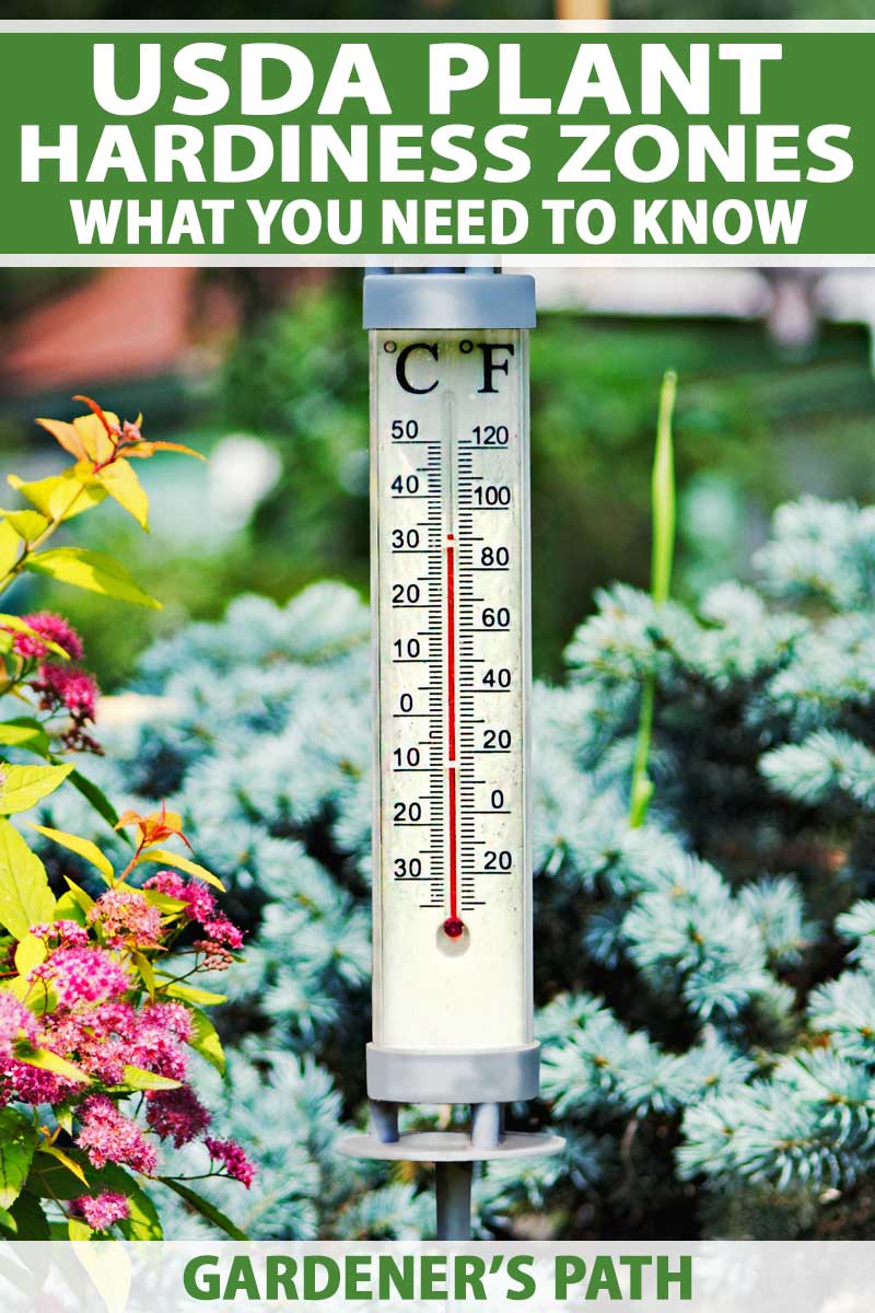 A thermometer hanging in a landscaped garden.