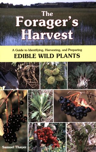 How to Harvest Wild Berries  Foraging for Beginners   Gardener s Path - 20
