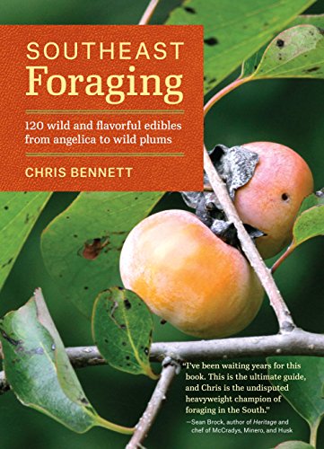 How to Harvest Wild Berries  Foraging for Beginners   Gardener s Path - 62