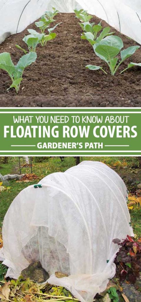 A collage of photos showing different photos of floating row covers.