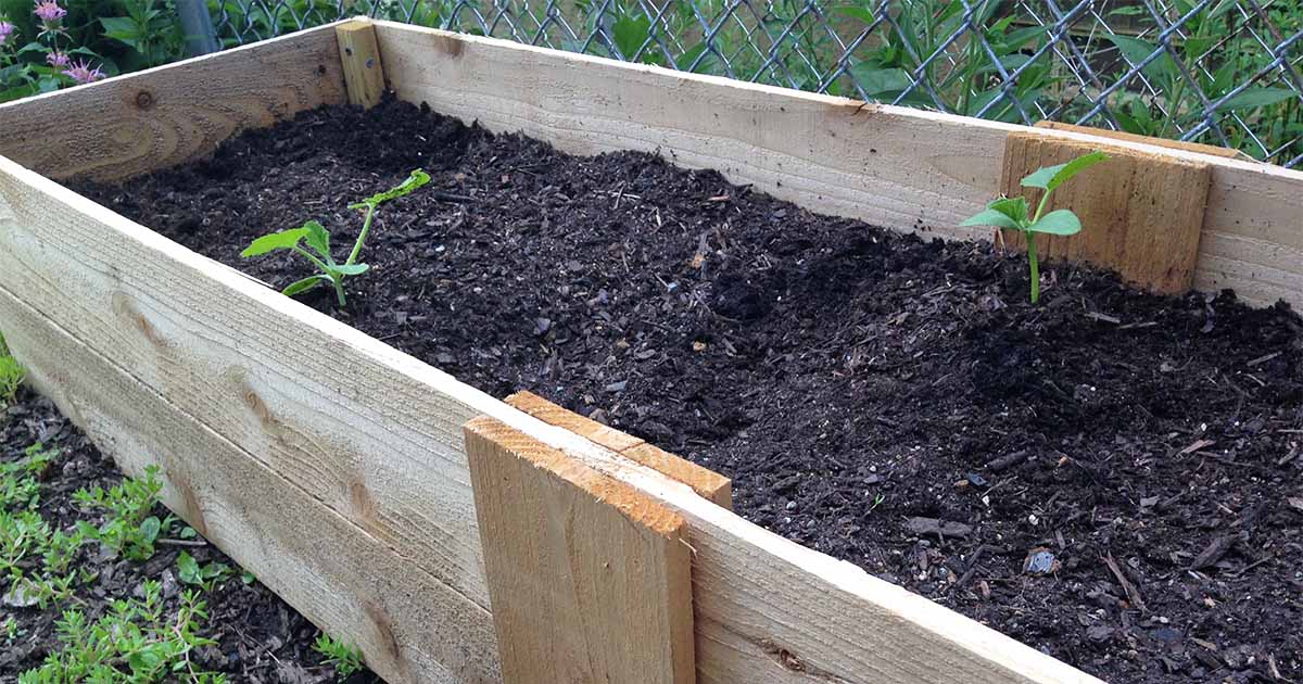 Make These Easy Diy Raised Beds With Instructions Gardener S Path - How To Make A Timber Raised Garden Bed