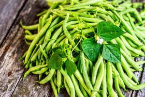 A large number of freshly picked green beans have been placed into a pile on an old, rustic looking table. The vegetables are topped with a few of the leaves and flowers of the plant they were picked from.