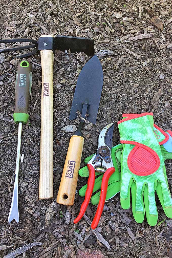 Four garden tools and a pair of red and green gardening gloves lay in a row on brown mulch and soil. From left to right is a scratch weeder, a hoe/tiller combo, a hand spade, and some pruners.