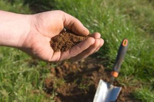 Get Your Garden Off to the Best Possible Start with a Soil Test