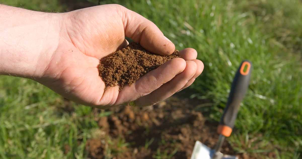 How to Test Your Garden Soil’s pH Level in 4 Simple Steps