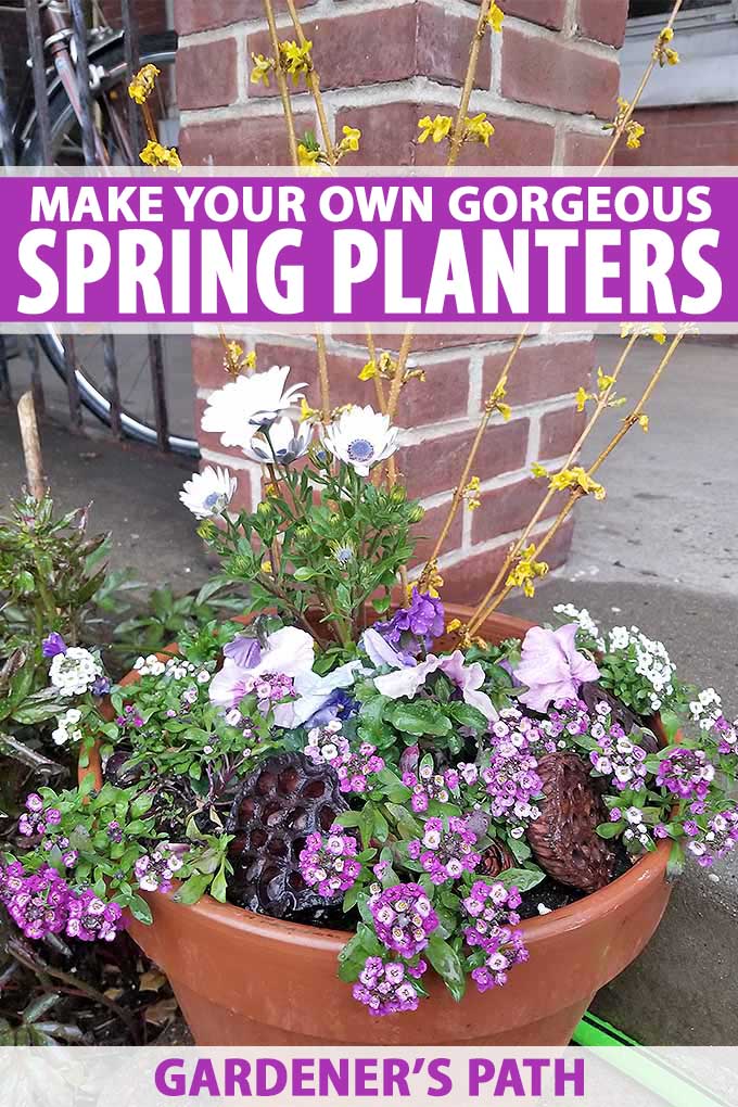 Spring Planters, How To Plant Patio Containers