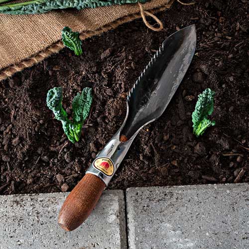 Top down view of the Red Pig Digging Garden Knife/Trowel resting in dark soil.
