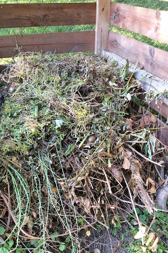 Inside of a large wooden container, the scraps and remains of plants are piled. The soon to be compost is made up of many different vegetables and leaves.
