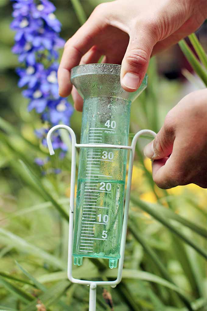 Closely cropped image of two hands removing a clear graduated cylinder canister from a metal stand holder, with blue and yellow flowers and green foliage in the background.
