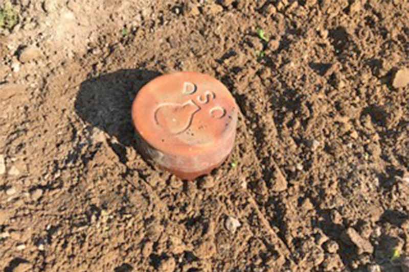 A terra cotta olla lid and neck, above the surface of the surrounding raked and dry brown soil.