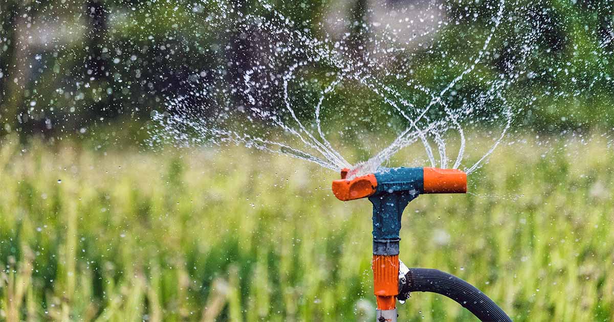 Garden Irrigation 101 Ollas Soaker, Landscape Watering System