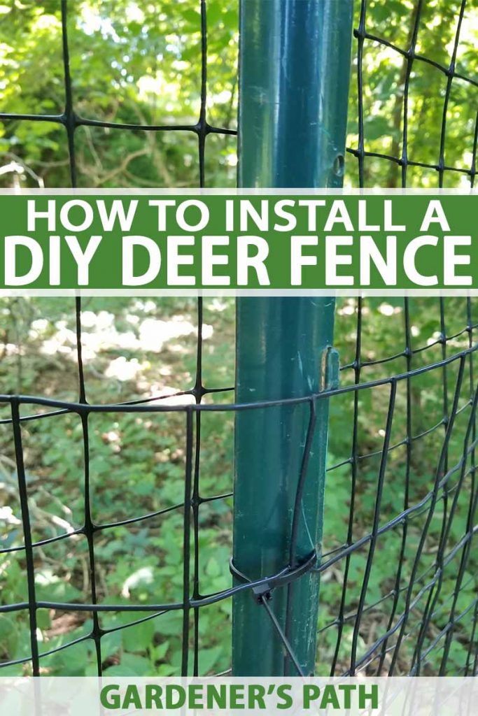 How To Install A Deer Fence Keep, Deer Netting For Gardens