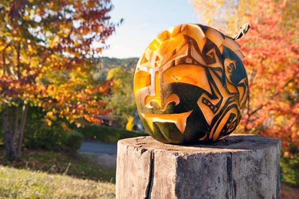 9 Quick Tips for Long-Lasting Jack-O’-Lanterns |Gardener’s Path