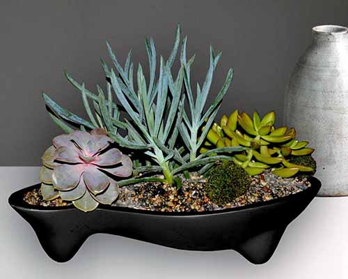 Black planter filled with succulents, on a white surface in front of a gray background, with a gray ceramic vase to the right.