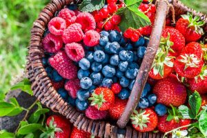 Juicy and Sweet Tips for Starting Your Own Berry Patch