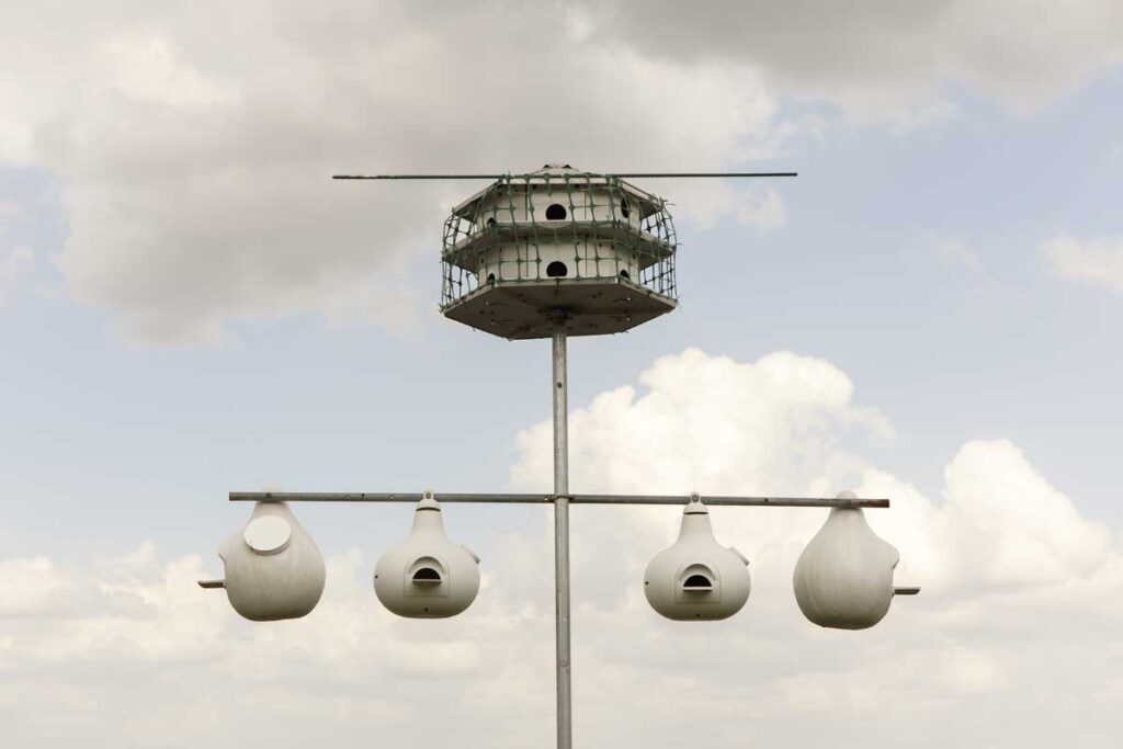 An apartment style purple martin house on a pole with gourd houses hanging below it.