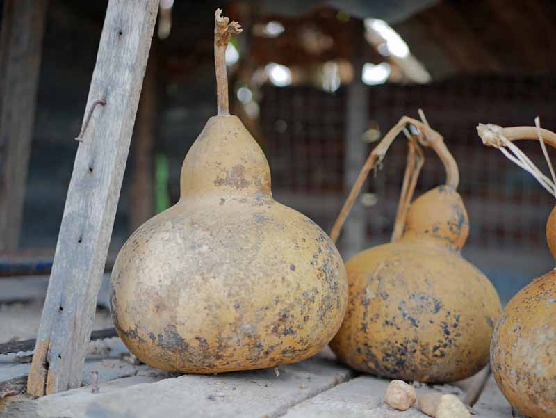 A close up horizontal image of tree dried birdhouse gourds sitting in an old board pictured on a soft focus background.