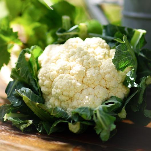 Snowball Y Improved cauliflower cut fresh from the garden, wrapped in its green leaves.