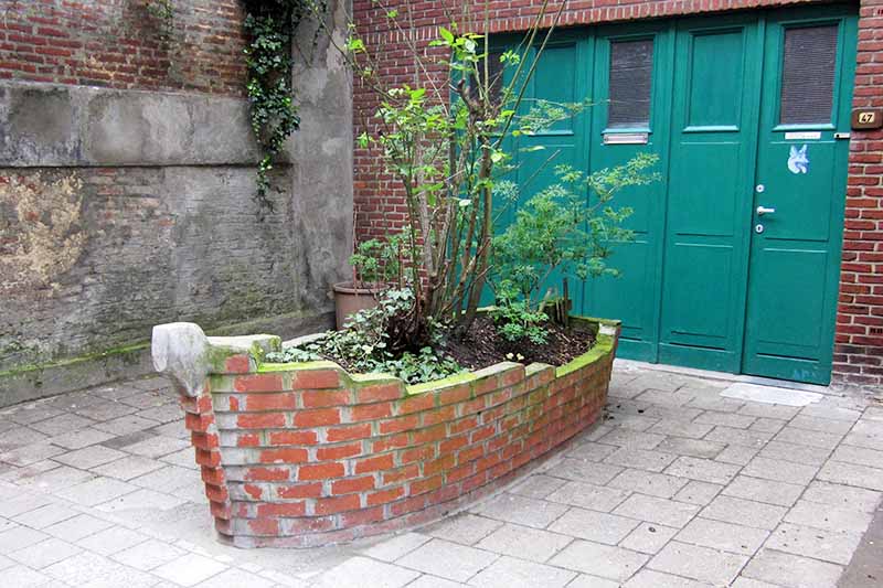 Horizontal image of a brick and mortar garden planter shaped to look like a ship, with saplings growing in the center, on a patio with green doors and a brick wall in teh background, and green vines growing up the far wall.