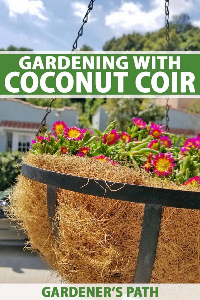 A planter with flowering annuals made mostly of coconut coir.