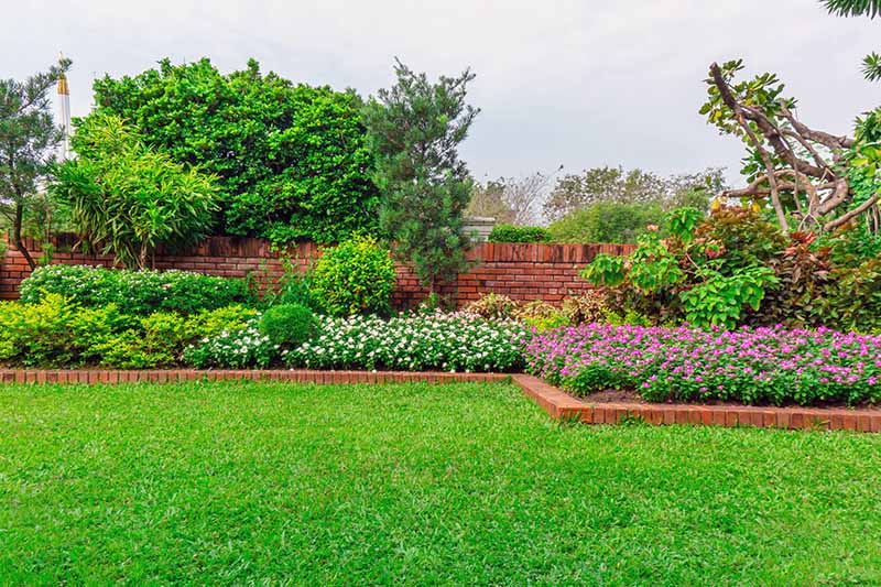 Horizontal image of a vibrant green lawn separated from garden beds with shrubbery planted in front of a brick wall and up to a clay block divider at ground level, against a white sky with tall evergreens in the background.