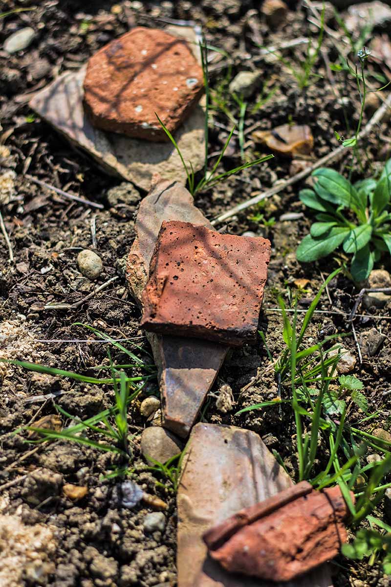 Horizontal overhead image of broken clay builder's blocks arranged in a line to make a divider with pieces of broken slate in a garden bed, with a few tufts of grass and some weeds growing in dark brown soil.