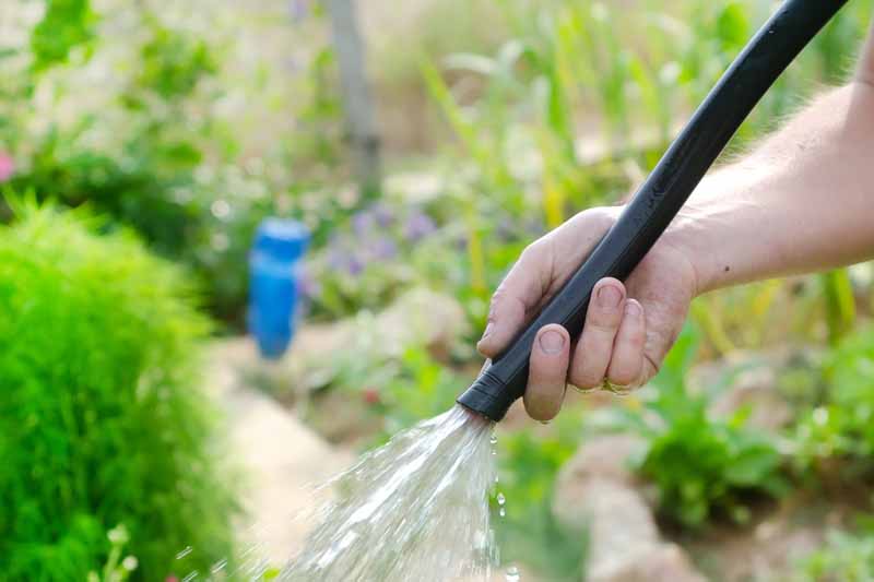 Retractable Hose Reel Water Spray Pipe Garden Watering Wall Mounted Manual S9X0