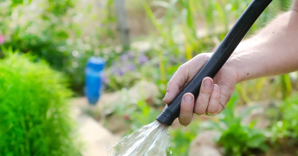 The Best Garden Hose (2022) for Your Tiny Patio or Giant Yard