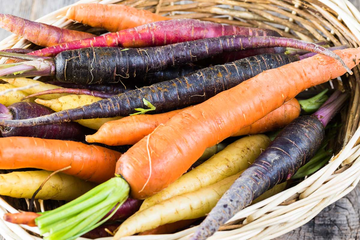 Different varieties and colors of fresh carrots in a wicker basket.