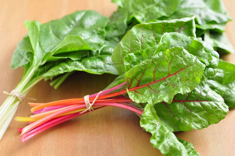 Swiss chard leaves that have been harvested and tied into a bundle.