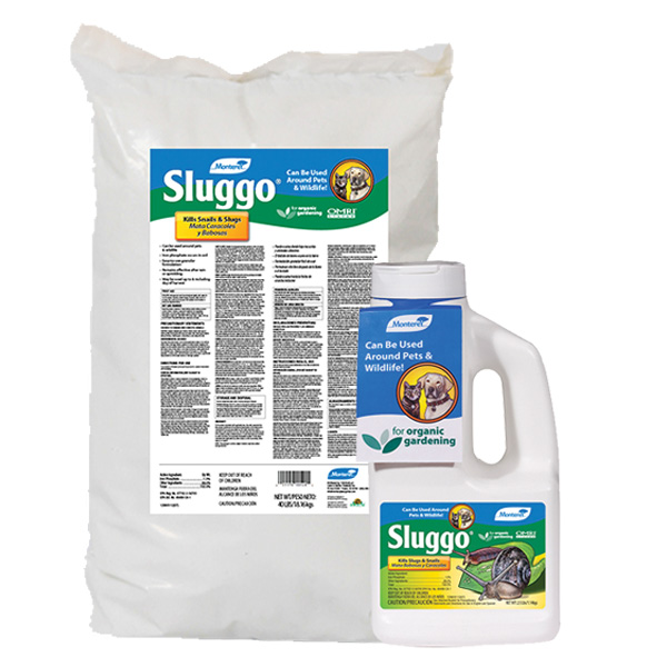 Sluggo slug killer in several different packaging and sizes.