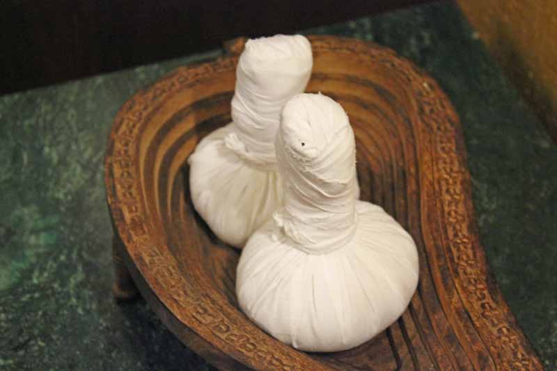 Scallions wrapped in white cloth to form a poultice.