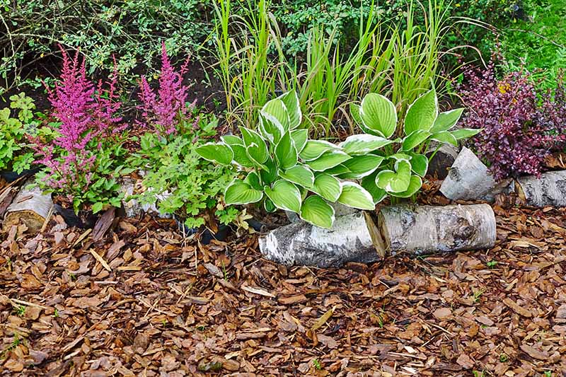 Mulch For Low Maintenance Gardening, What Kind Of Mulch Is Best For Garden Paths