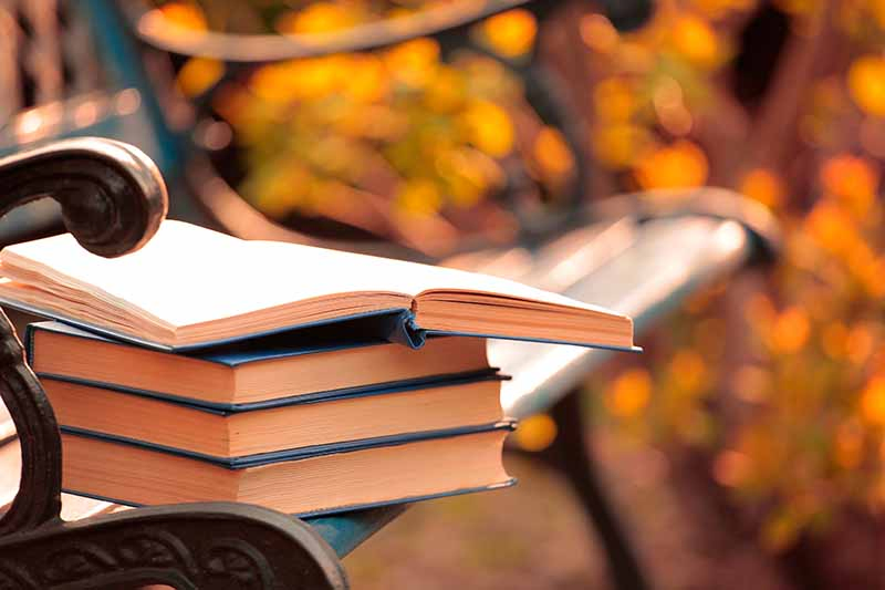 A close up of a pile of hardback books, with navy blue covers, the top one is open, on a park bench, in fall. The background is the bench in soft focus autumn colors.