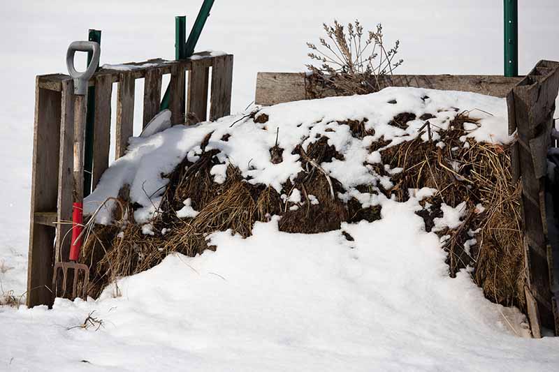 A compost pile covered in snow, with a pitchfork on the left side of the frame, and a wooden enclosure around three sides. The background is snow in bright sunshine.