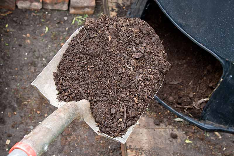 A close up of a spade, digging compost out of a black plastic compost bin. In the background is soil.