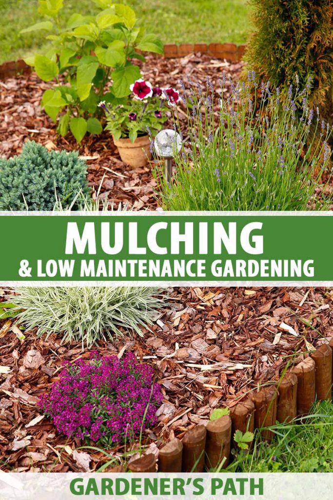 A vertical image, showing a flower bed with a wood surround, containing green and flowering plants and wood bark mulch, in light sunshine. Green and white text in the center and at the bottom of the image.