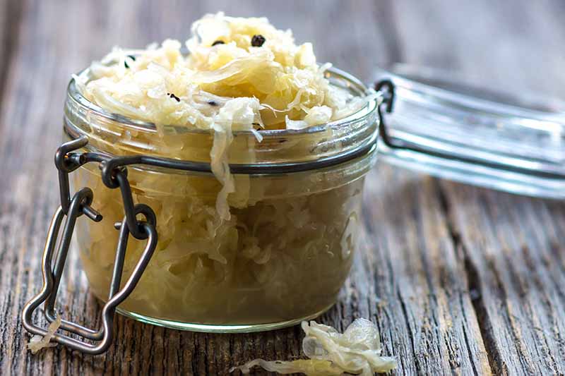 A close up of a jar on a wooden surface containing sauerkraut made with chopped cabbage and peppercorns, in bright sunlight.