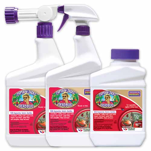 A close up of three white spray bottles of Captain Jack's Deadbug Brew insecticide with red labels on a white background.