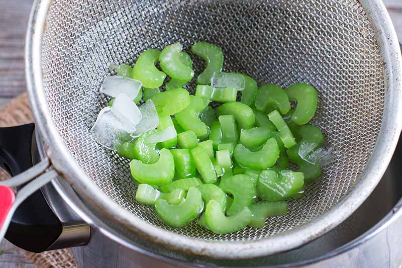 A close up of chopped celery stalks in a metal colander with ice. The colander is over a metal saucepan.