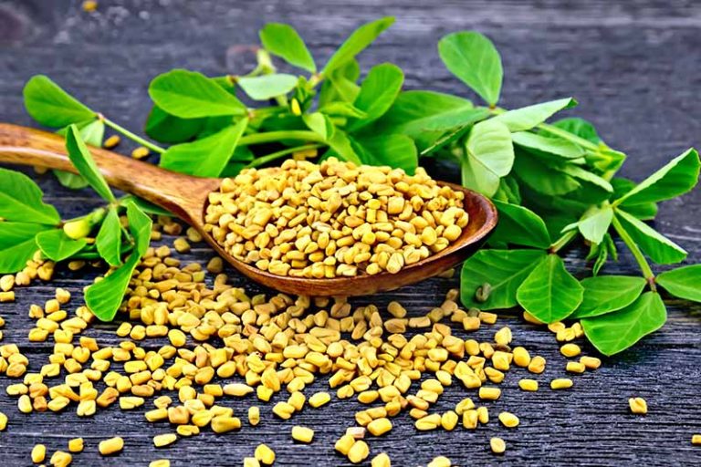 Fenugreek, 550mg - 60 vcaps main image 0