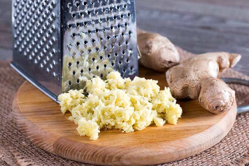 A close up image showing a wooden chopping board on a wicker table mat. There is a stainless steel cheese grater and in front of it a pile of grated ginger. To the right is a root, and the background is a wooden surface.