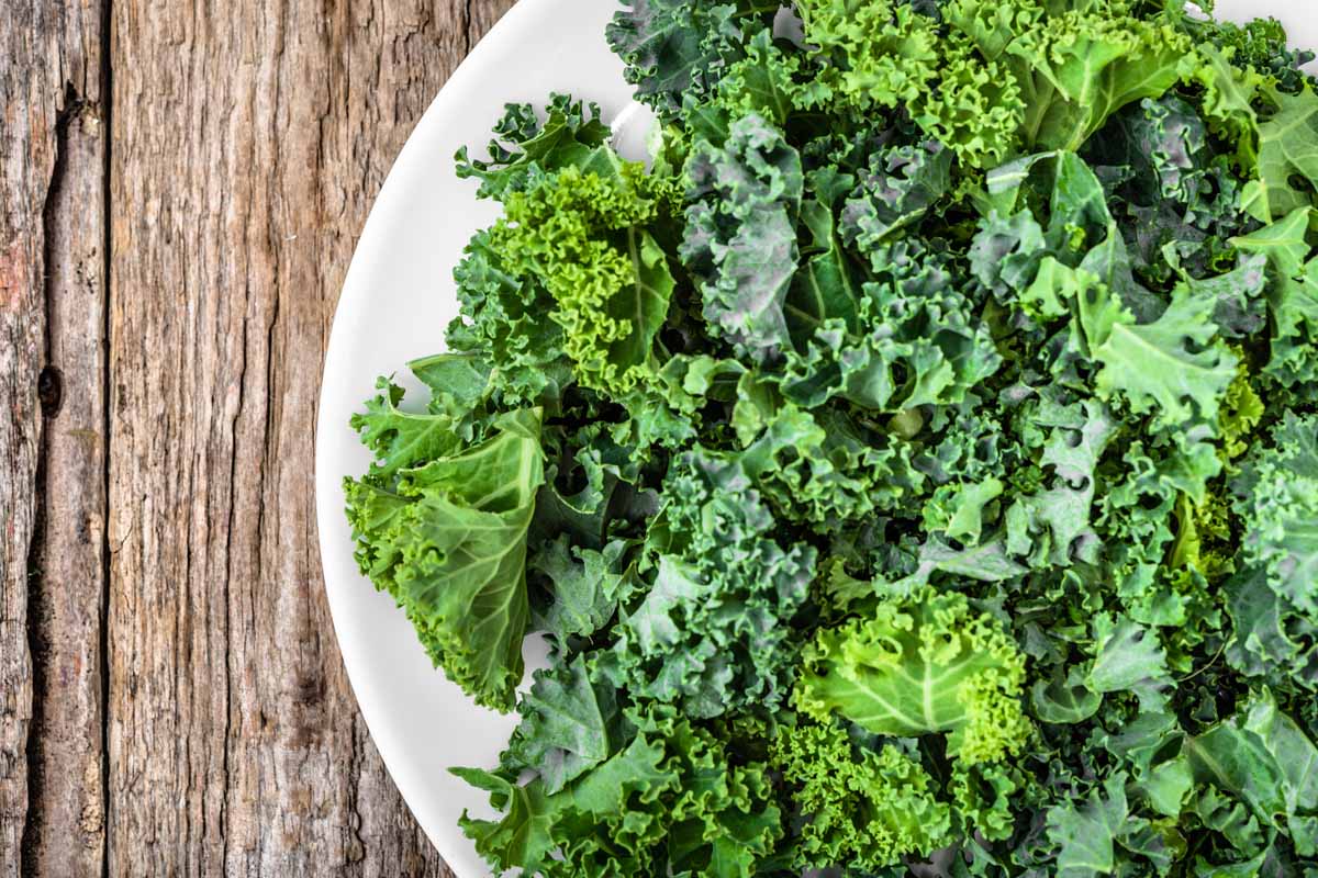 A close up of a white plate with fresh bright green curly kale leaves, pictured on a wooden surface.